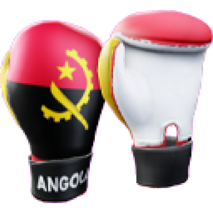 Angola Gloves.png