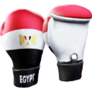 Egypt Gloves.png