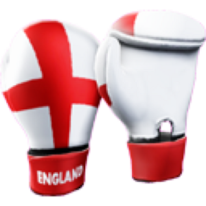 England Gloves.png