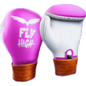 Fly High Gloves.png