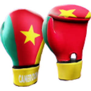 Cameroon Gloves.png