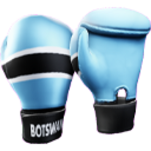 Botswana Gloves.png