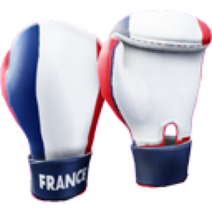 France Gloves.png