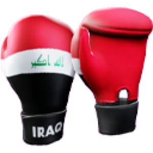 Iraq Gloves.png